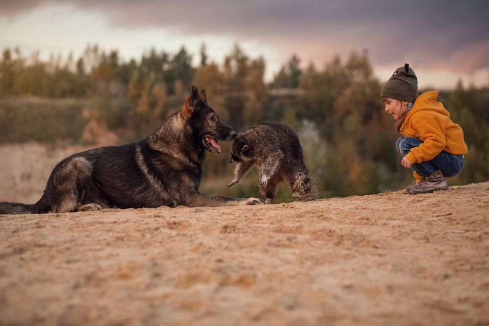 Photograph by Ирина Зайцева