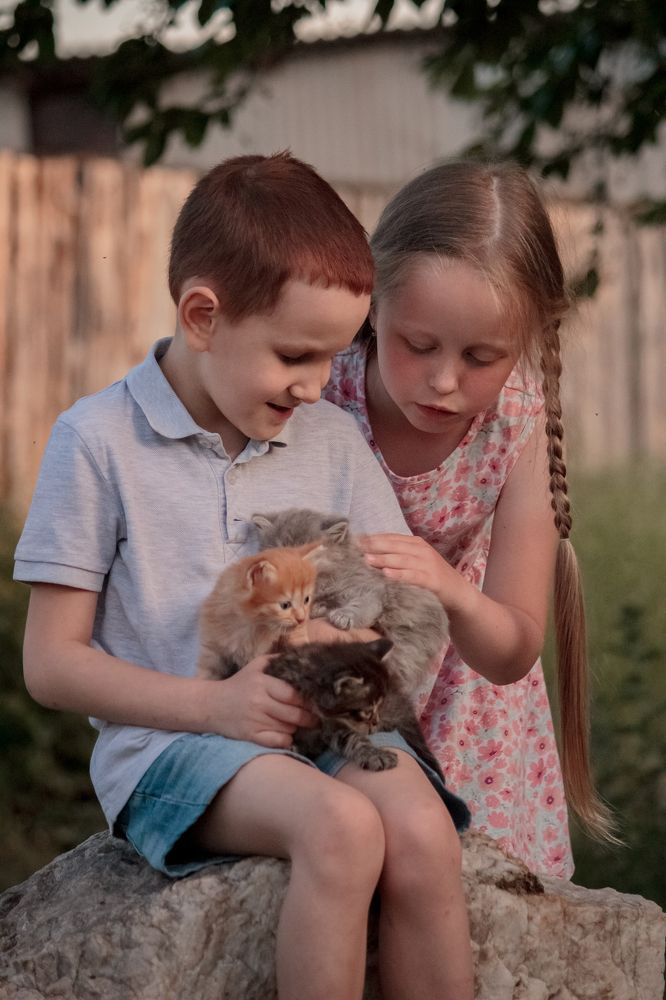 Photograph by Юлия Мешаева