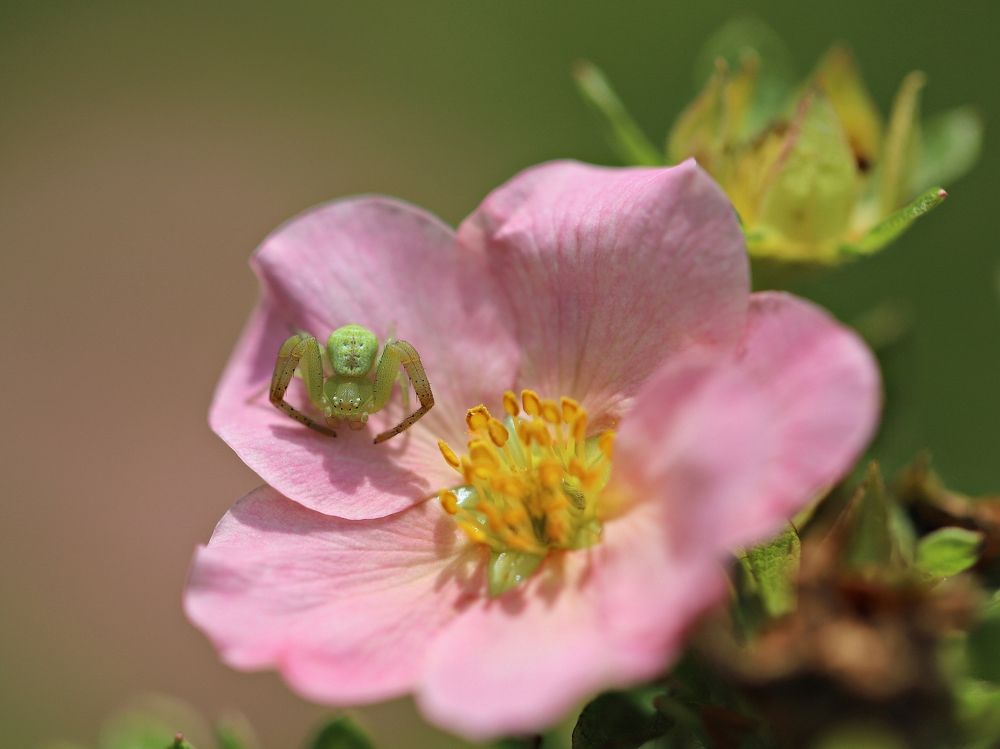Photograph by Екатерина Мстиславская