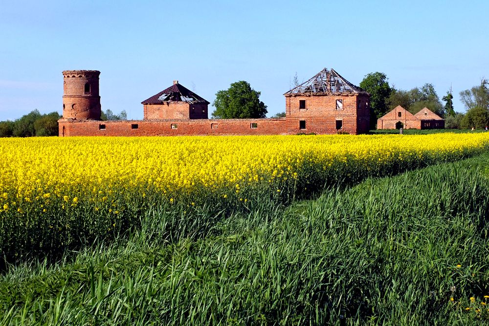 Photograph by Юлия Гузень