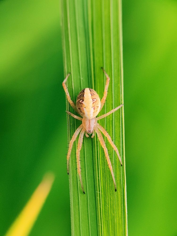 Photograph by Saurav Gupta