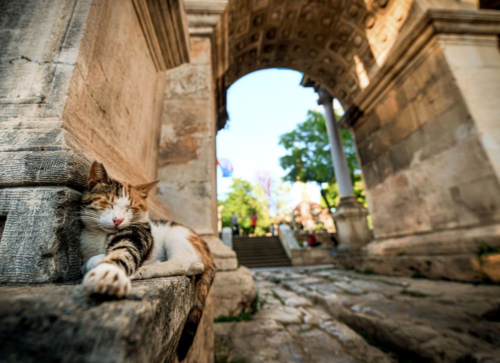 Photograph by Guven Karakoc