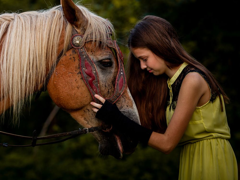 Светлая и тёмная грива