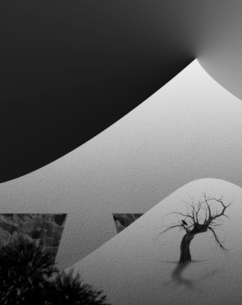 Photograph by Bahrami Ashkan