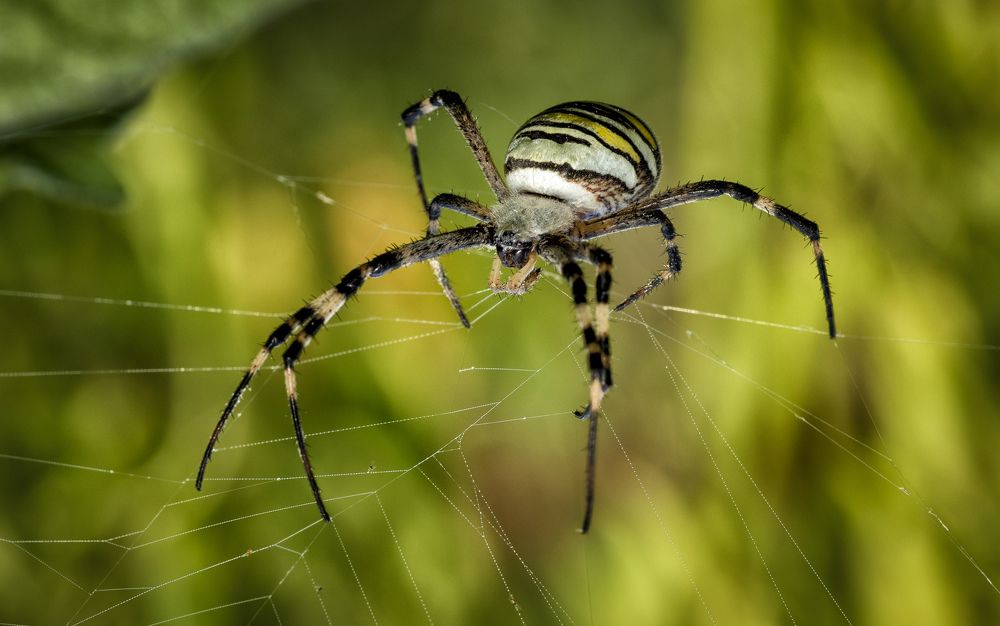 Photograph by Ozlem Ozyun