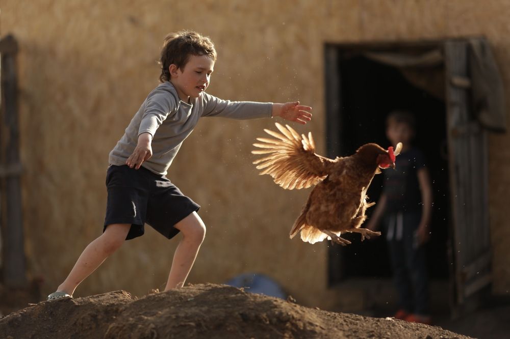 Photograph by Мария Игнатьева