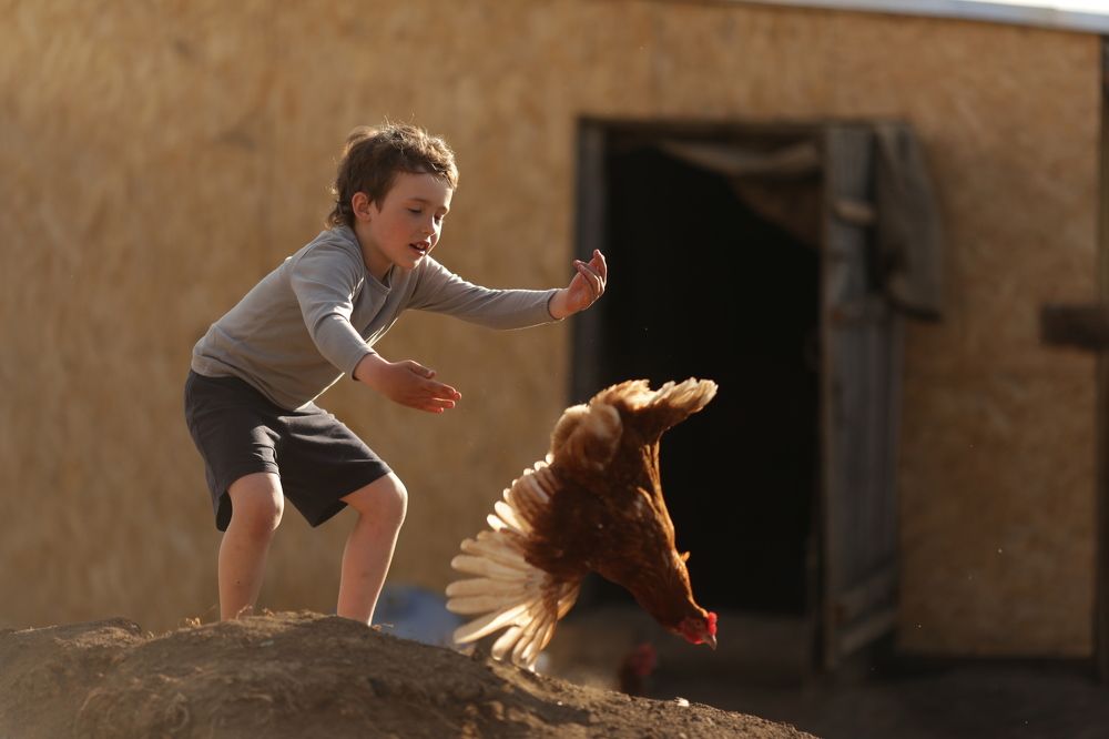 Photograph by Мария Игнатьева