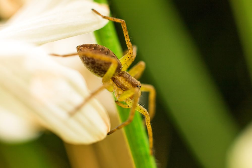 Фотография автора Елена Ельшина