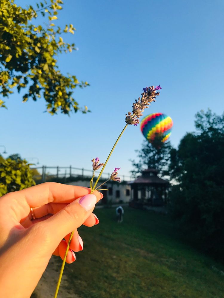 Летняя сказка