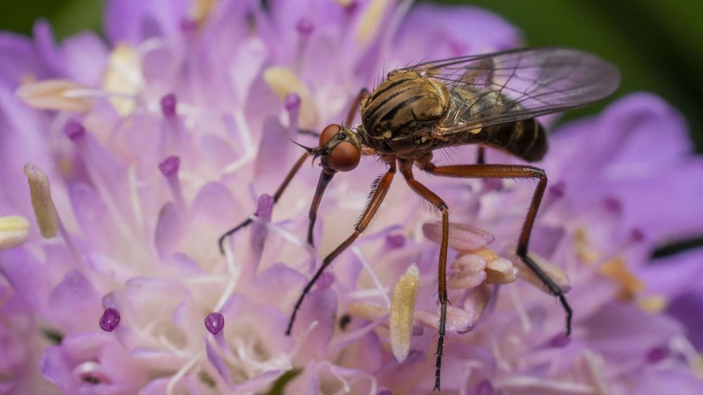 Photograph by Людмила Железнова