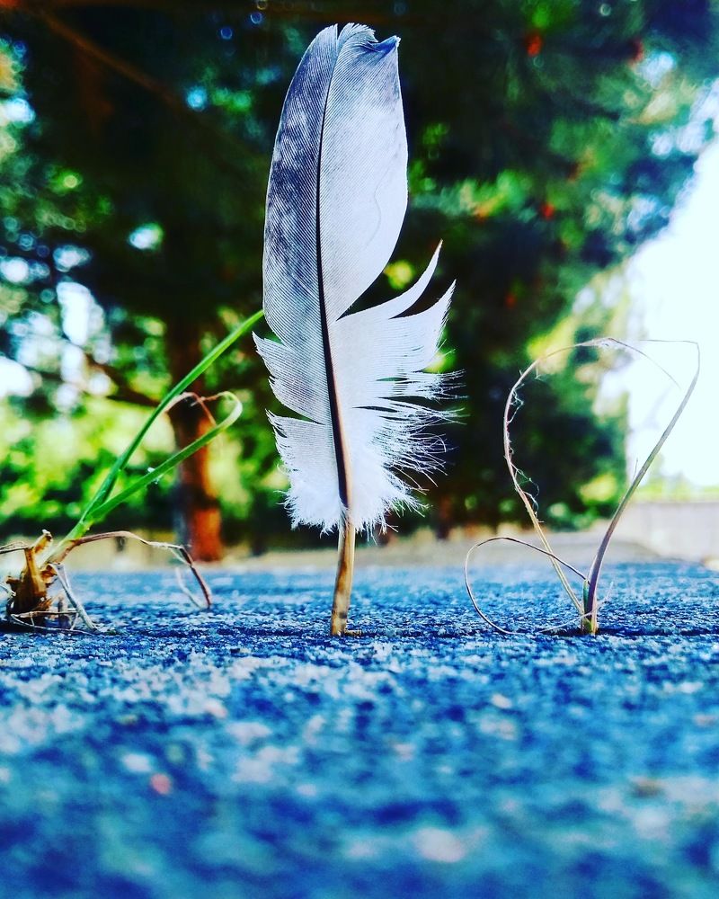 Фотография автора Карина Гурова