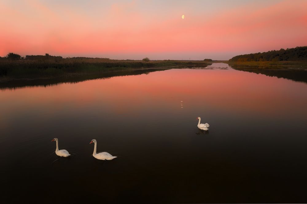 Photograph by Николай Борисов