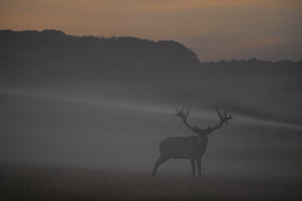 Photograph by Ernestas Balcikonis