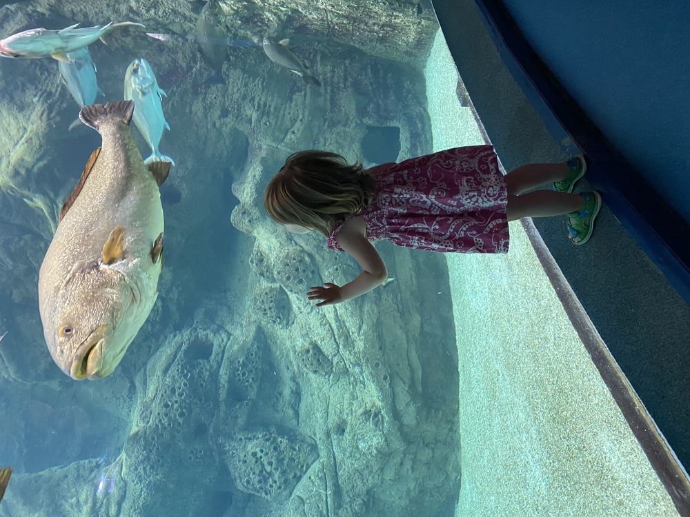 Photograph by Оксана Старостина