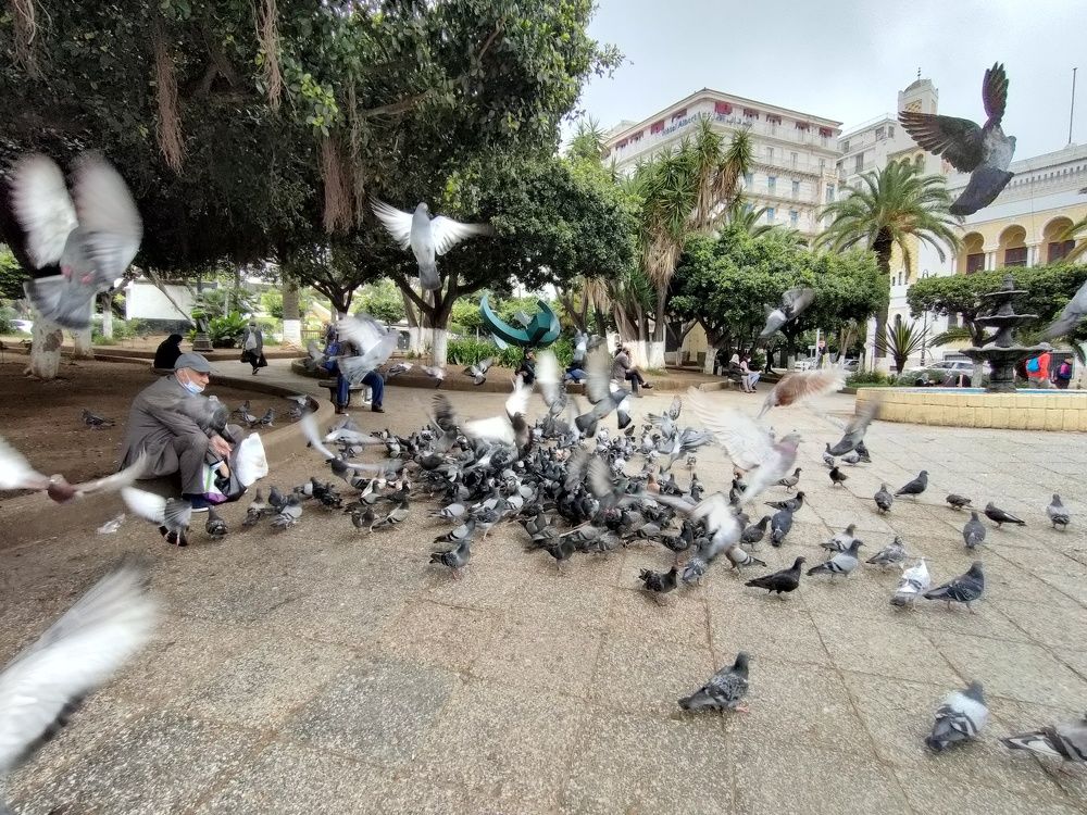 Photograph by Mohamed Kaouche