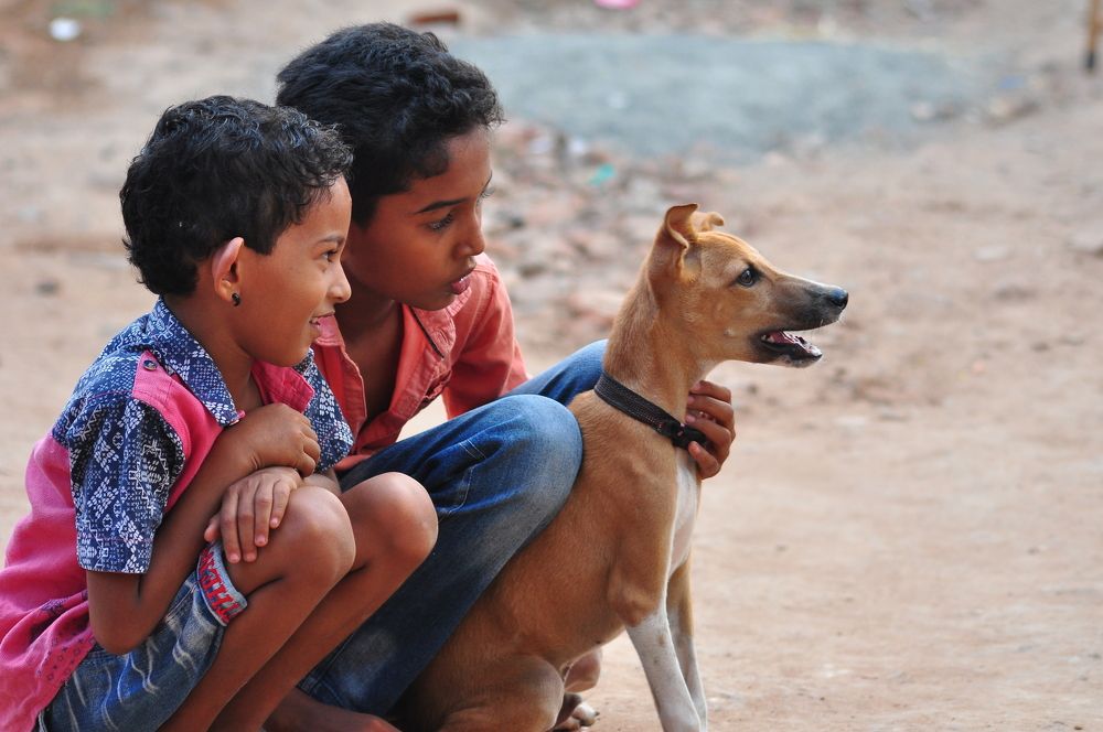 Children and animals