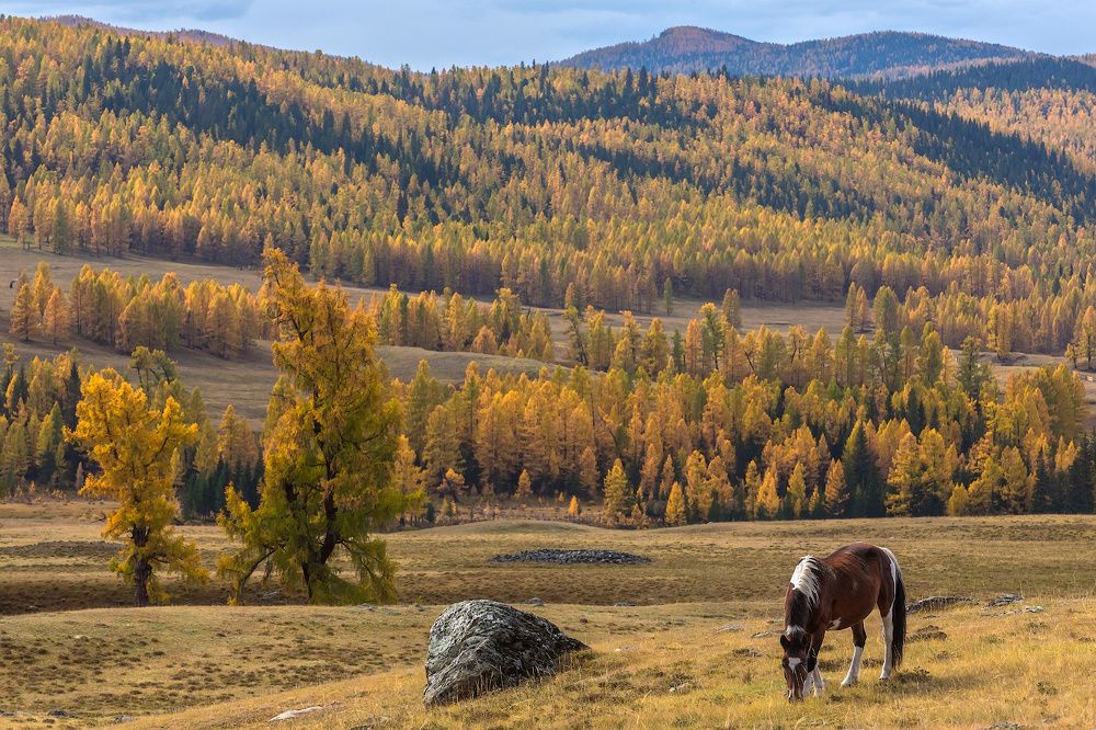 Photograph by Ярослав Лукьянов
