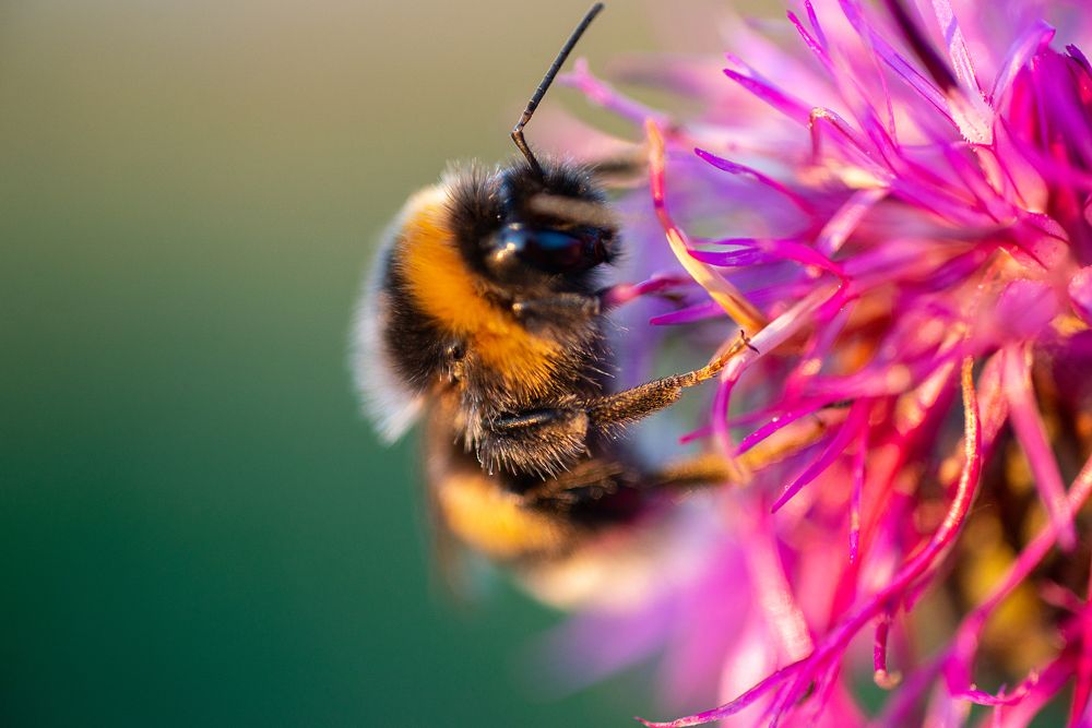 Photograph by Светлана Михайлова