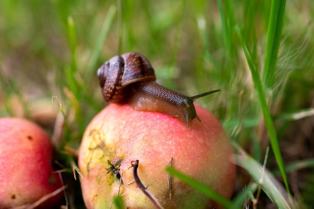 Photograph by Светлана Михайлова