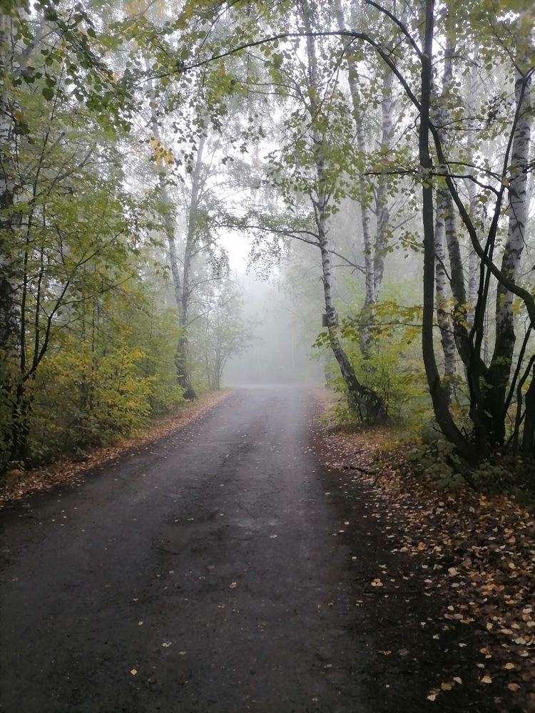 Photograph by Олег Китаев