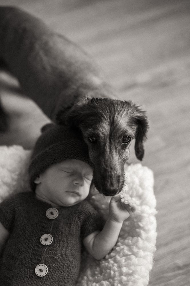 Усатый нянь