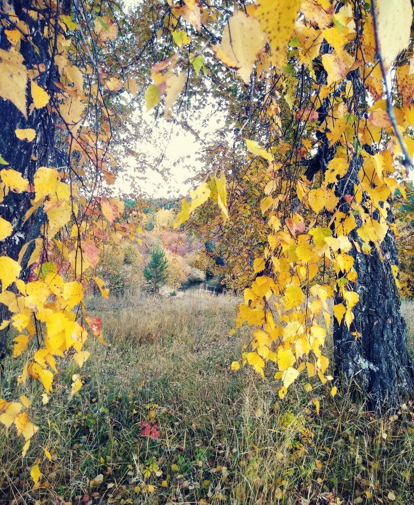 Photograph by Елена Федорова