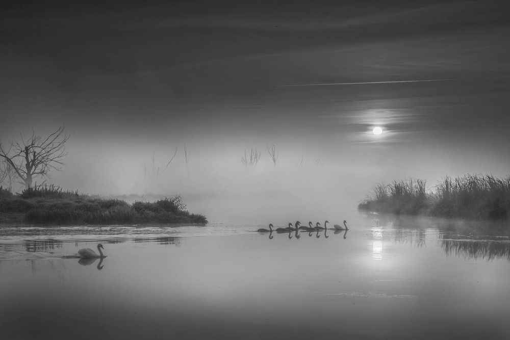 Photograph by Dariusz Budyta