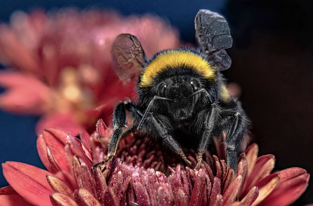 Photograph by Андрей Калинин