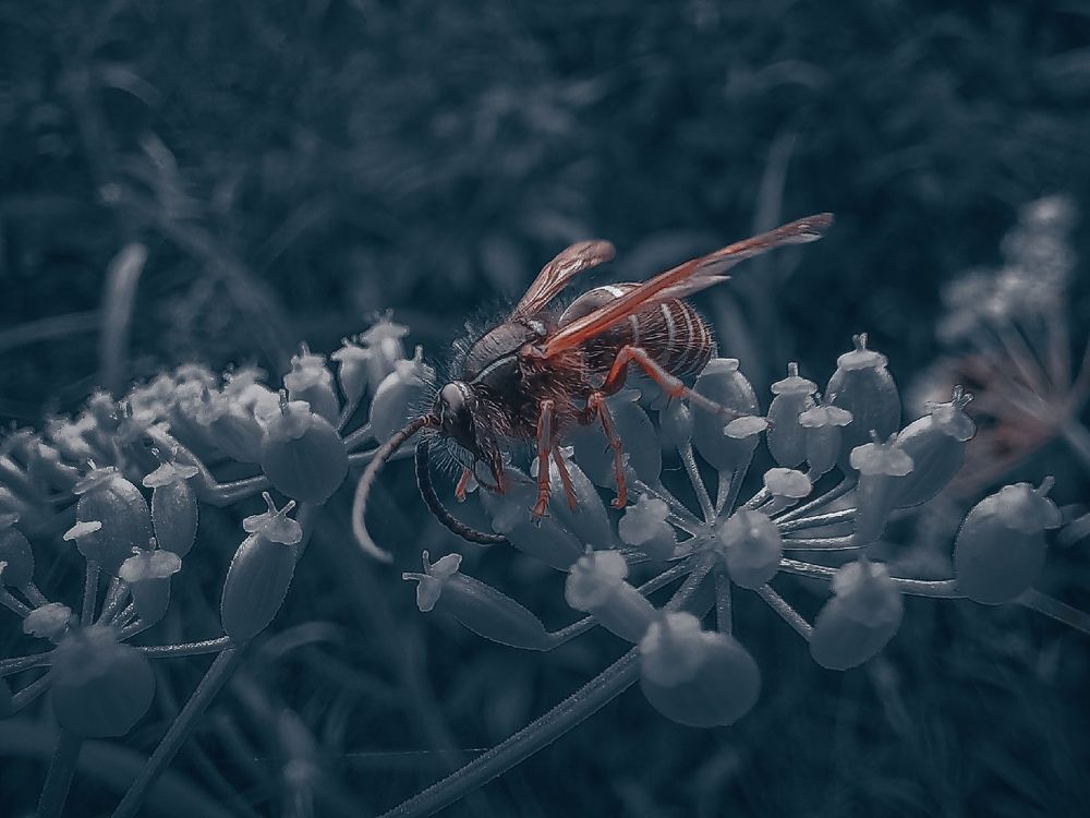 Photograph by Вадим Басов