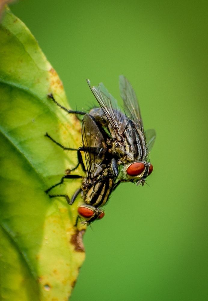 Photograph by Nayan Jyoti Kalita