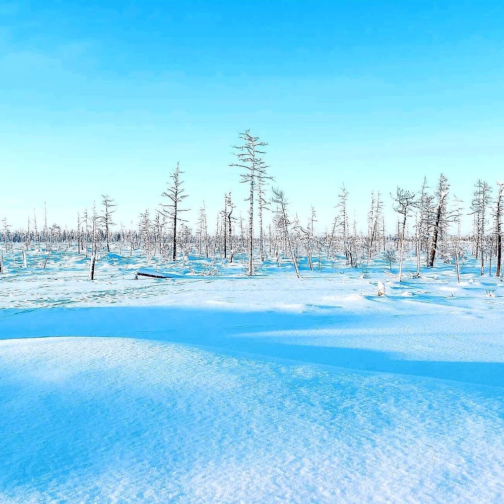 Photograph by Степан Павловский