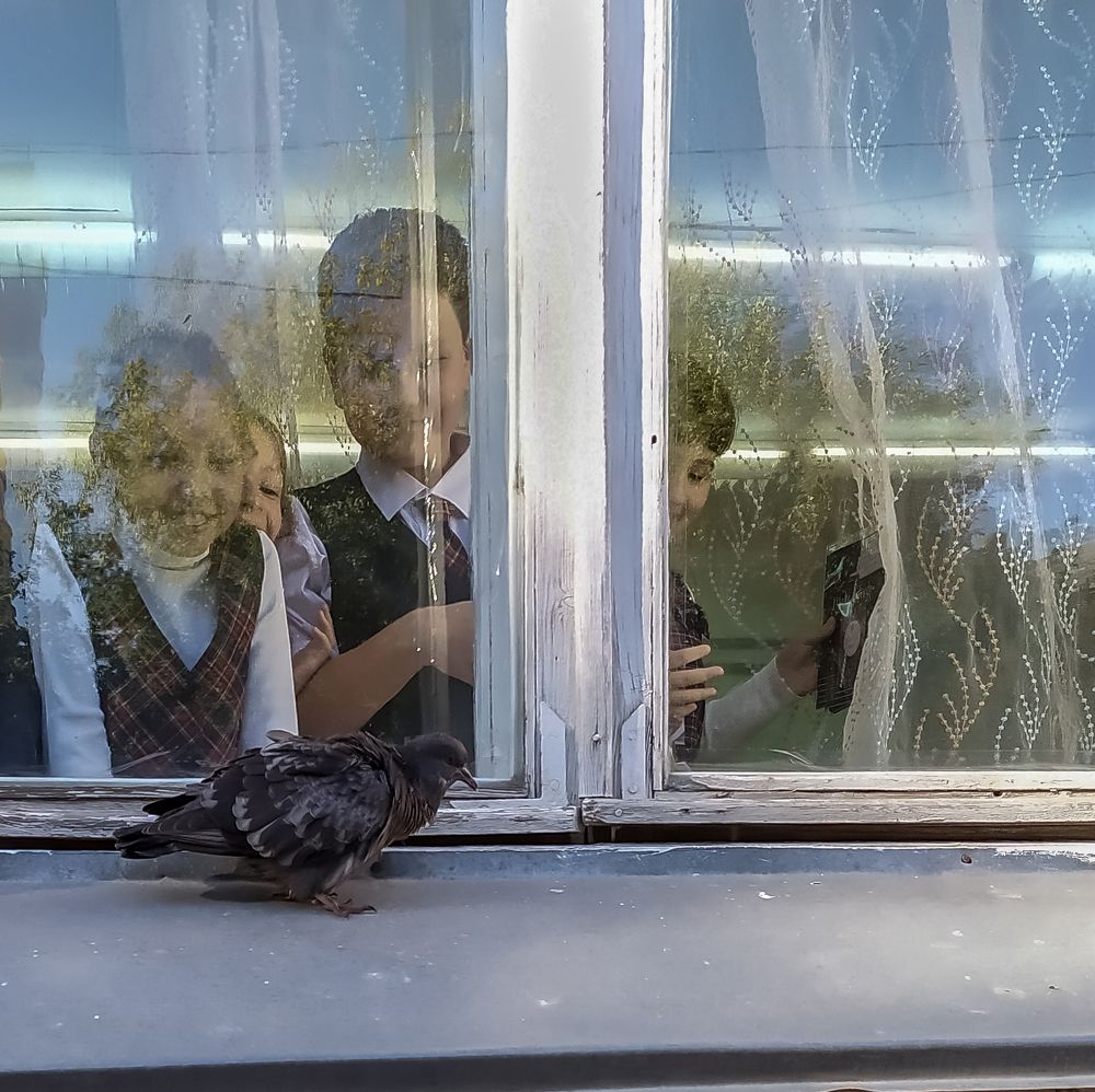 Фотография автора Виктор Руденко