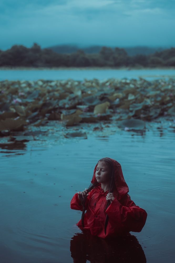 Фотография автора Вера Щербакова