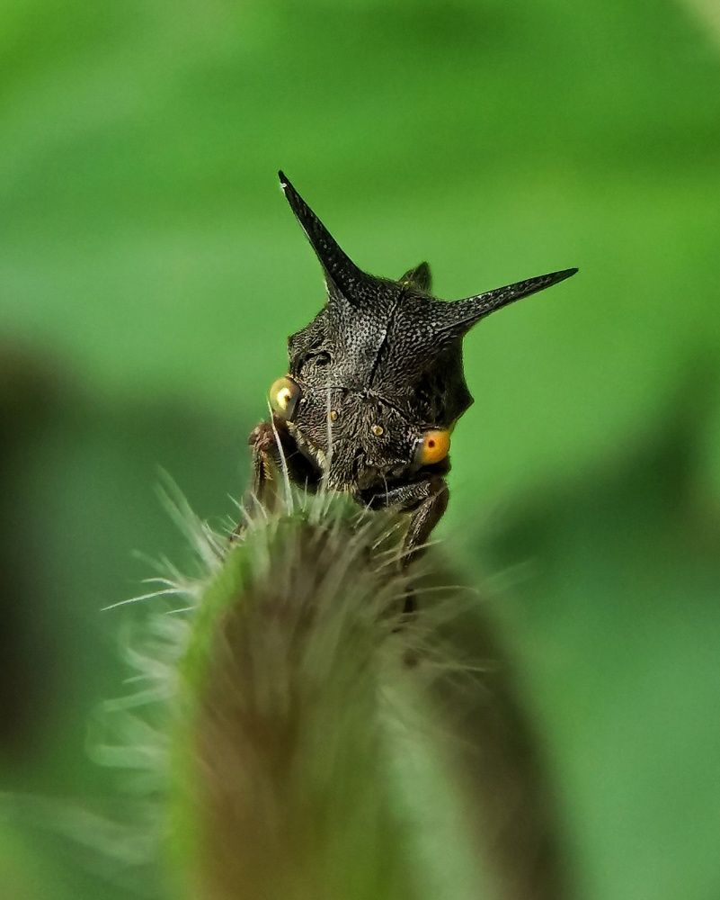 Фотография автора Jayesh Rajput