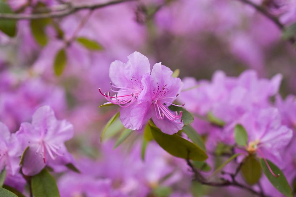 Photograph by Валерия