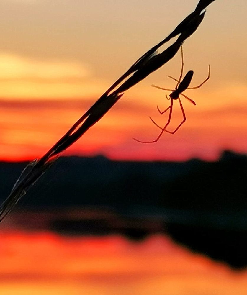 Вечер над Днепром