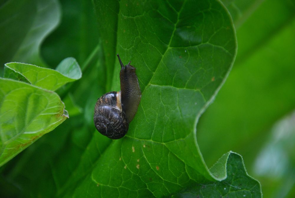 Photograph by Hanna Rein