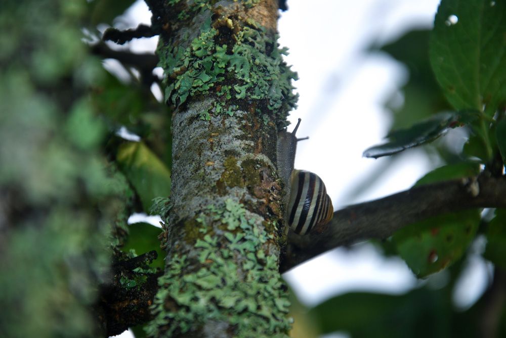 Photograph by Hanna Rein