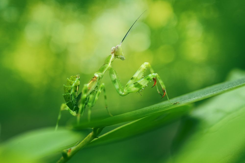 Photograph by Hemraj Chavhan A