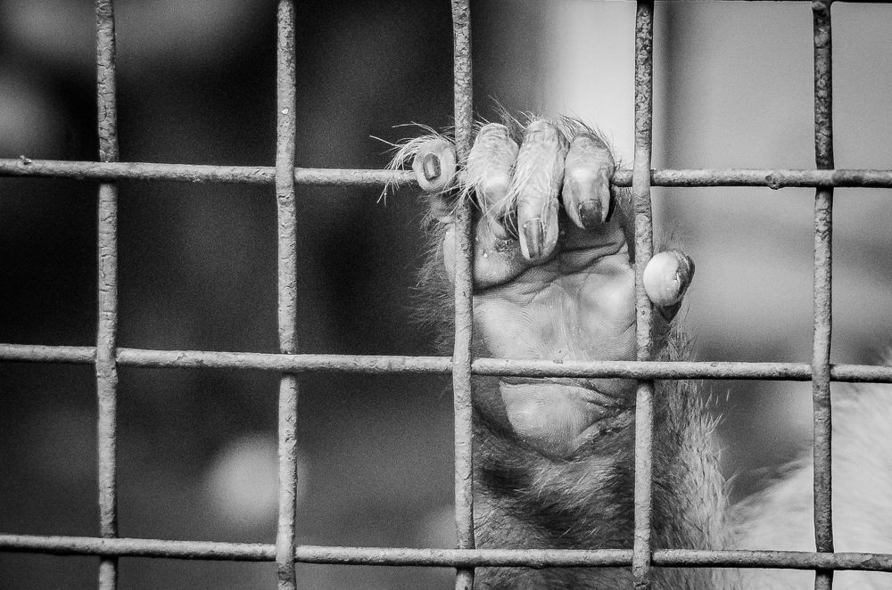 Фотография автора Владимир Брызгунов