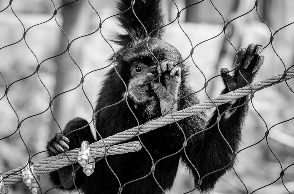 Фотография автора Владимир Брызгунов