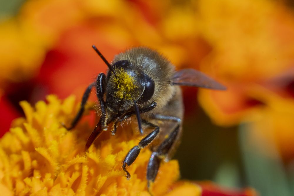 Photograph by Алексей Мосейко