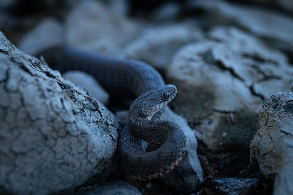 Photograph by Vlad Proshin