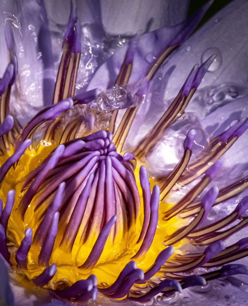 Photograph by Dem Kerrigan