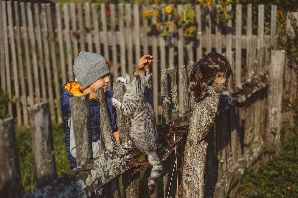 Photograph by Алена