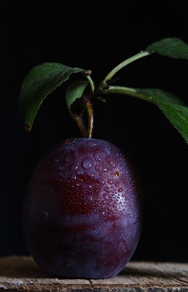 Photograph by Cornelia Ilie