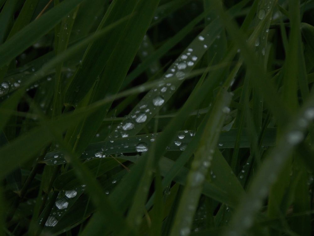 Фотография автора Антонина Клементьева