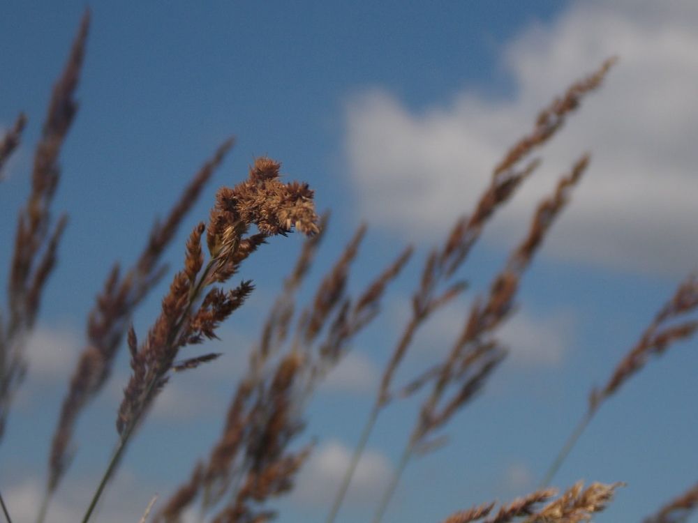 Фотография автора Антонина Клементьева