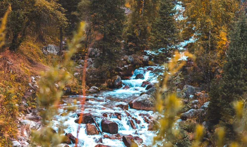 Photograph by Konstantin