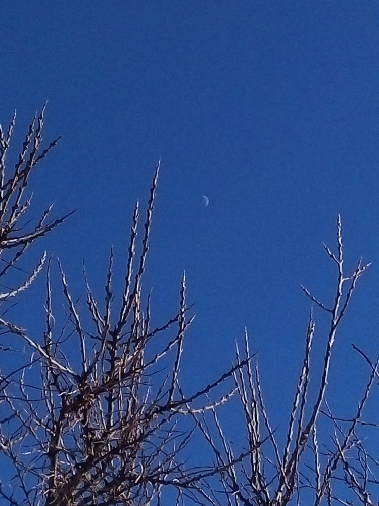 Фотография автора Антонина Клементьева